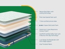 Centuary official 2