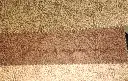 WhatsApp Image 2025-07-17 at 21.03.32.webp