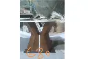 680.webp