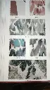 WhatsApp Image 2025-08-06 at 18.01.42_1a59c80c.webp