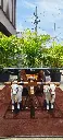 IMG_20250811_120424.webp