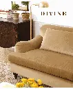 DIVINE_E_CAT_page3.webp