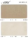 page_2.webp