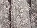 IMG_20250815_130518.webp
