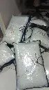 WhatsApp Image 2025-08-20 at 20.44.40_9614aefe.webp