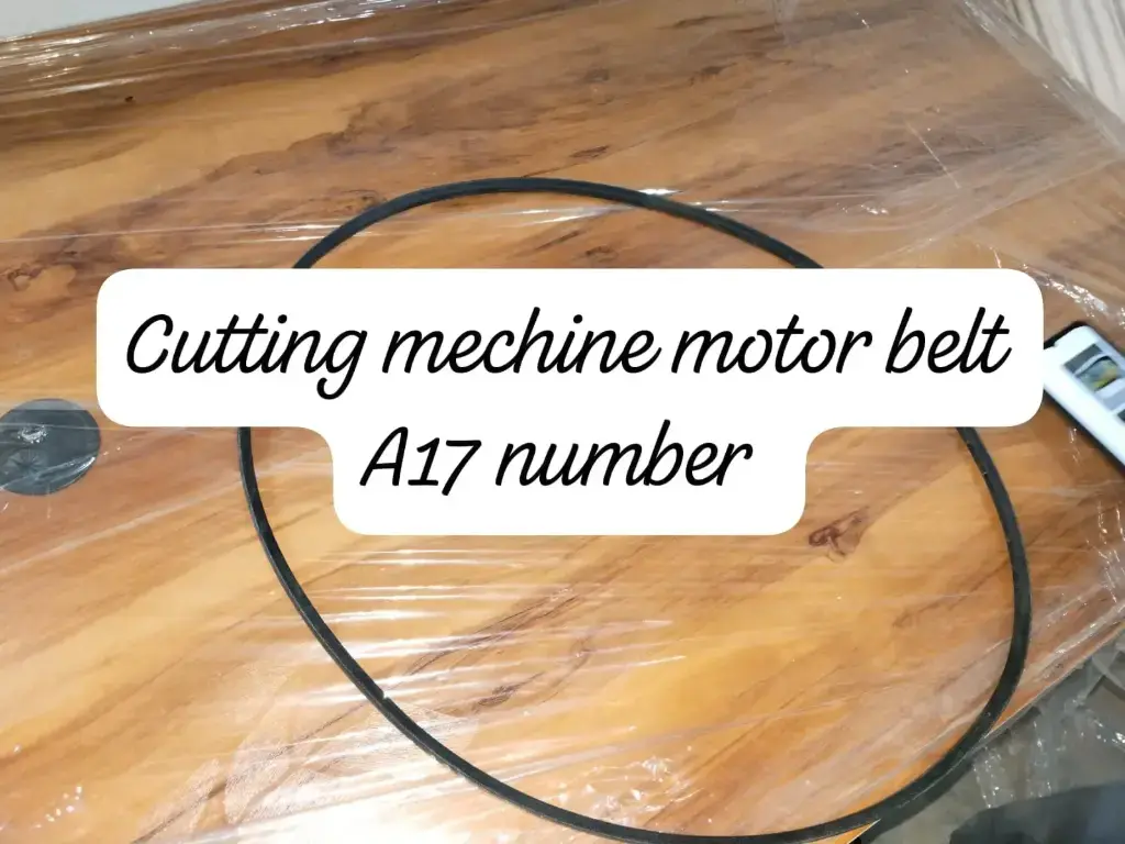 Motor Belt.webp
