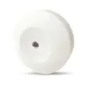 Fm Ceilling Rose.webp