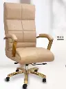 PS 211 Presidental Chair.webp