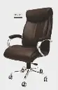 ES 310 Executive Chair.webp