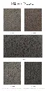 ALPHA-images-2.webp