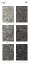 aria_page_3.webp