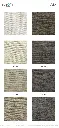 aria_page_2.webp