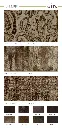 avita_page_2.webp