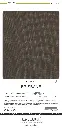 brisbane_page_5.webp