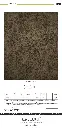 choper_page_5.webp