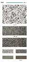 florous_page_5.webp