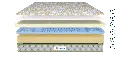 SpinetechClassic-Split1920X875_3_-1727758271593.webp