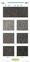 keiba_page_3.webp