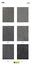page_4.webp