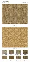 page_2.webp