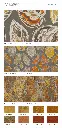 page_5.webp