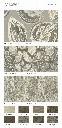 page_2.webp