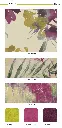 page_5.webp
