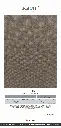 page_5.webp