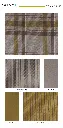 page_14.webp
