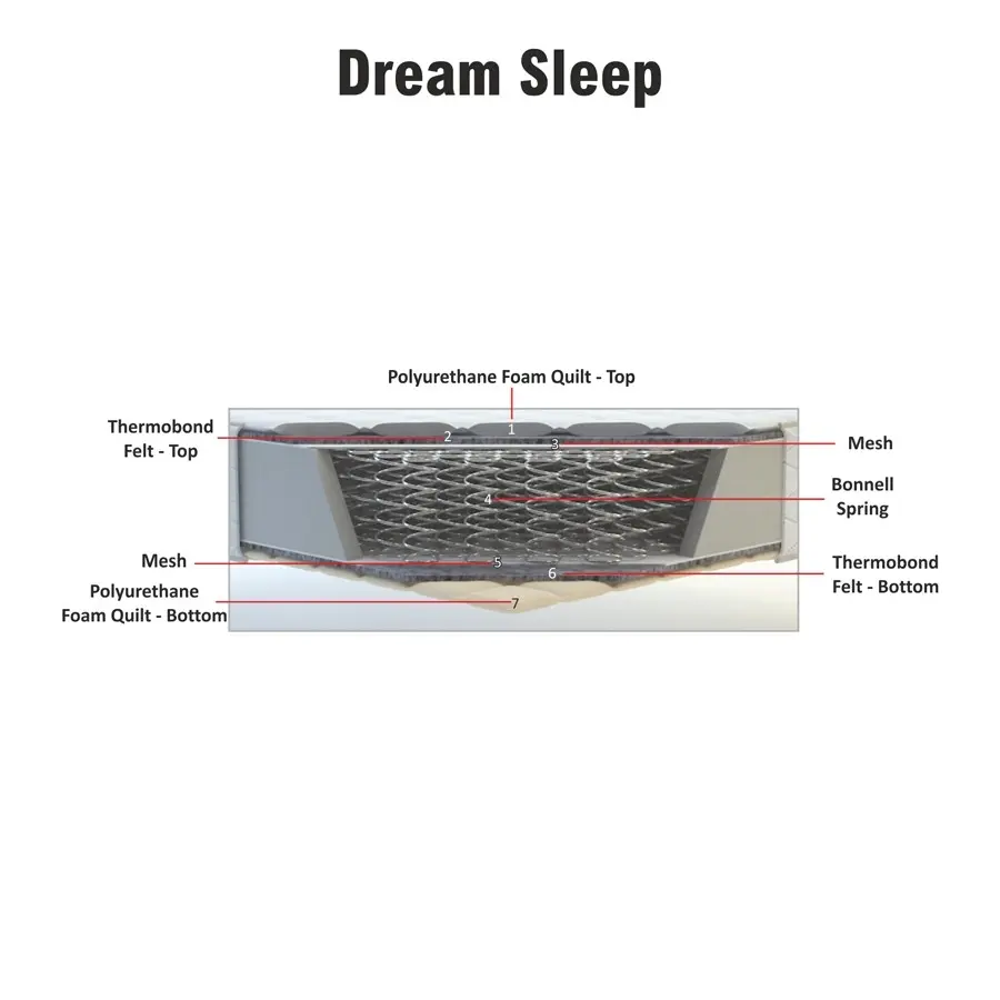 051019054408-dream-sleep-cross-section.webp