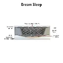051019054408-dream-sleep-cross-section.webp