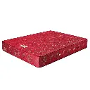 051019054408-dream-sleep.webp