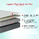 2_d585db5b-8aa3-4ea1-9261-c0ad849bd4cd.webp