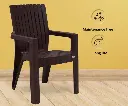 brown lyimpia.webp