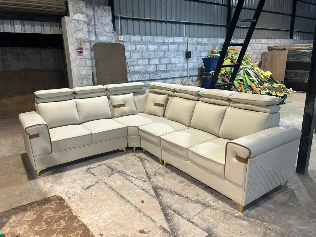 WhatsApp Image 2026-01-19 at 10.57.18 AM.webp