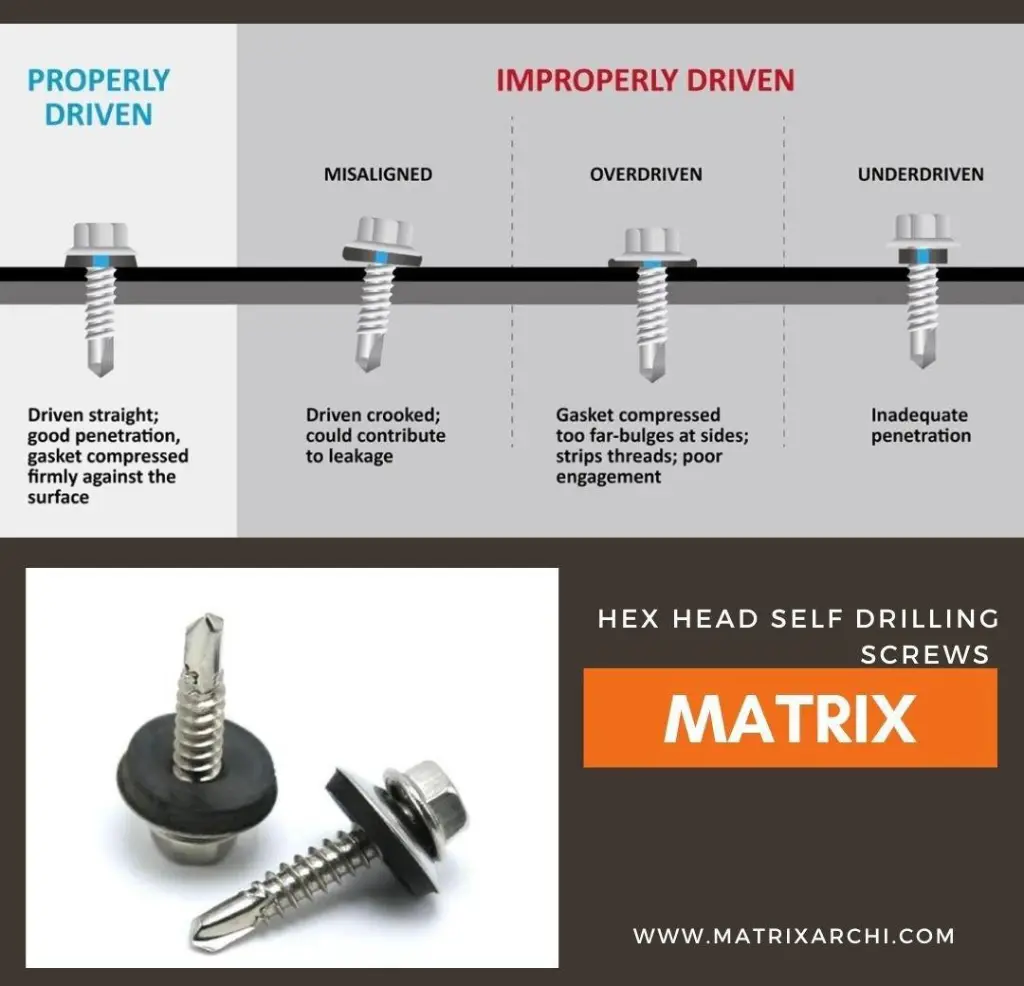 WhatsApp Image 2026-01-19 at 2.41.13 PM.webp