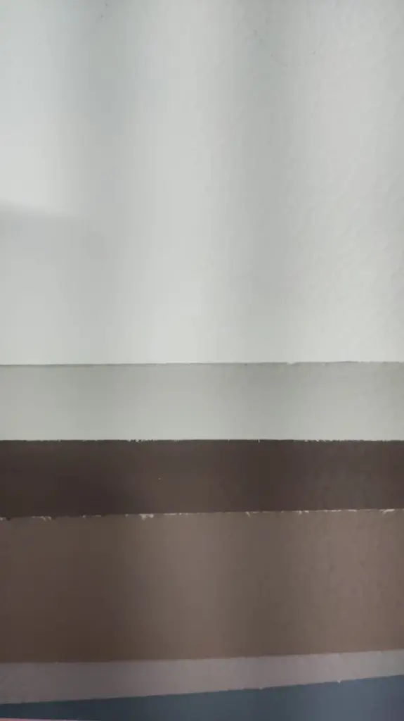 WhatsApp Image 2026-01-22 at 11.30.57 AM.webp