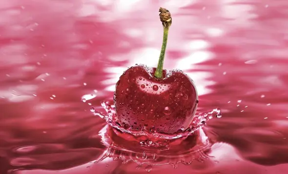 Screenshot 2026-02-18 160933.webp