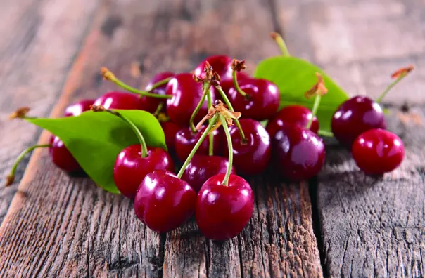 Screenshot 2026-02-18 161017.webp