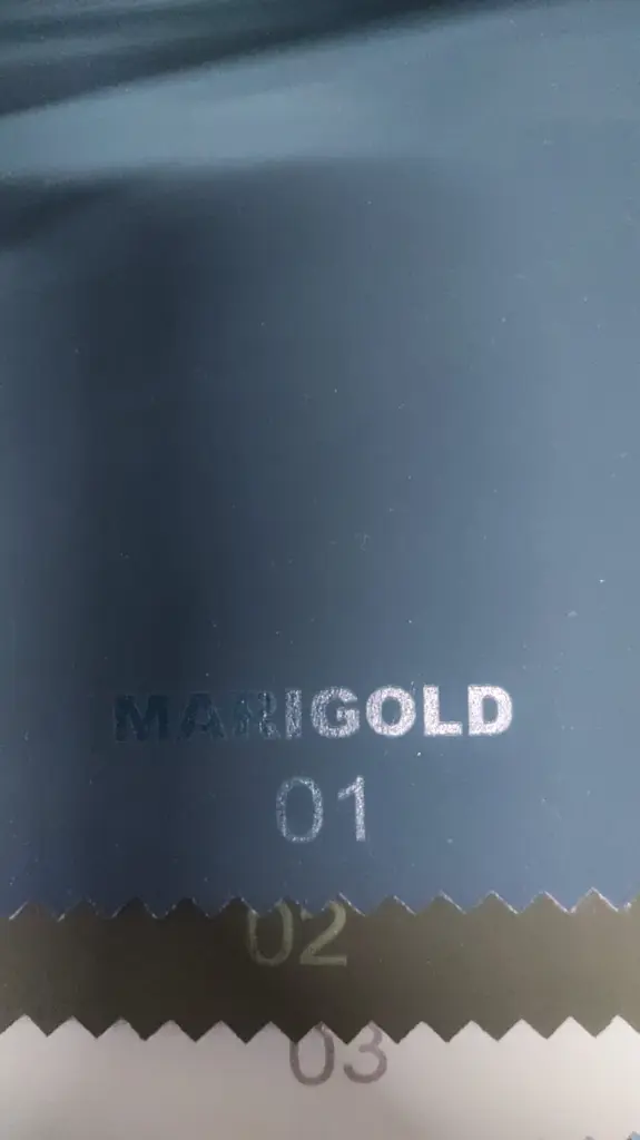 WhatsApp Image 2026-02-19 at 6.18.59 PM.webp