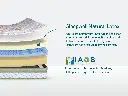 12.webp
