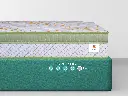 4SpinetechPremium_2_-1727698273261.webp