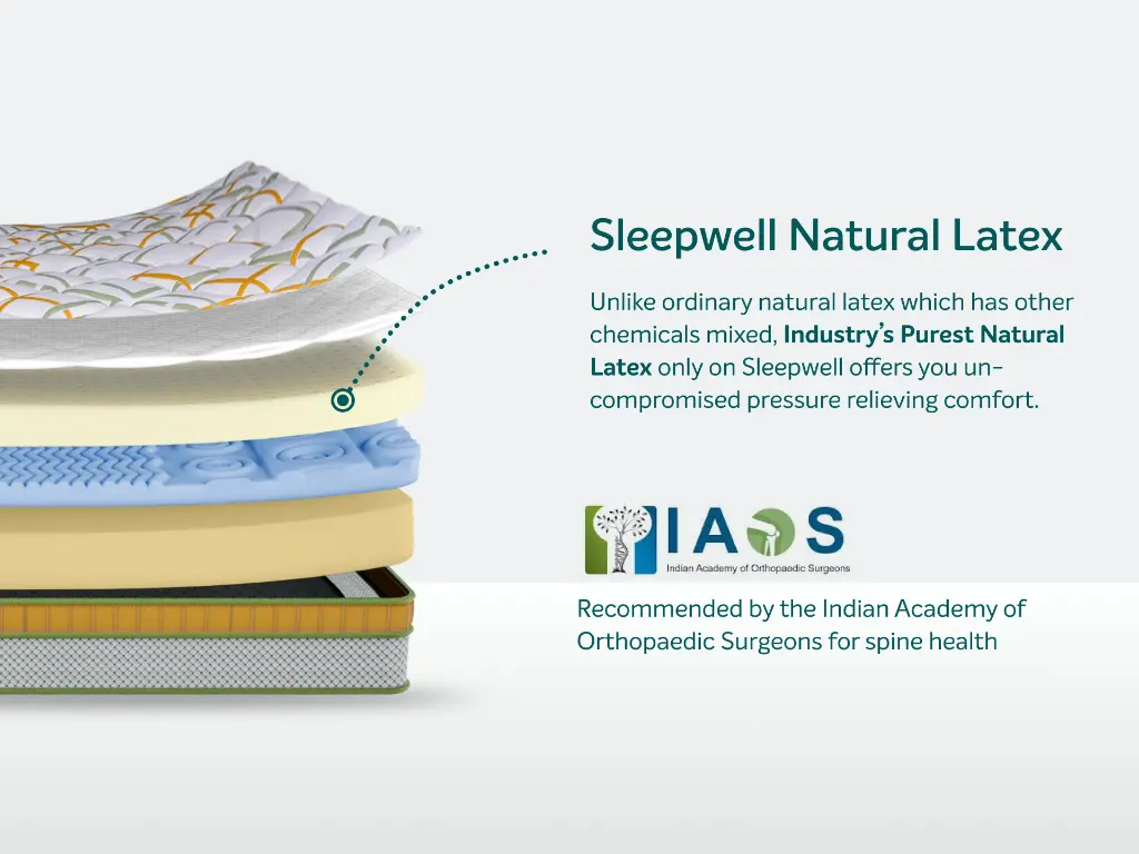2Spinetechluxury_2_-1727428838747.webp