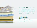 2Spinetechluxury_2_-1727428838747.webp