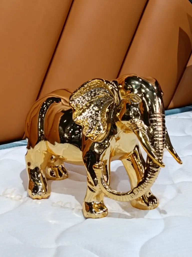 WhatsApp Image 2026-05-28 at 17.03.14.webp