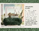 Brooklyn_Teddy_page_02.webp
