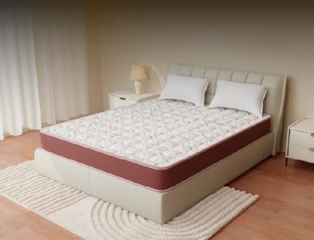 Centuary Back Pro Mattress