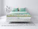 స్లీప్‌వెల్ - ప్రో స్పైన్‌టెక్ ప్రీమియం (Sleepwell - Pro Spinetech Premium)