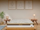 Centuary Chakrazen Luxury Hybrid Mattress