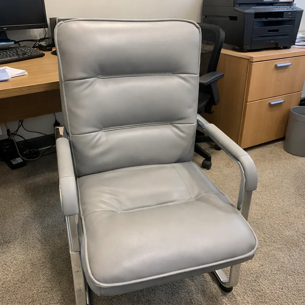 D70 - ఆఫీస్ చైర్ (D70 - Office Chair)